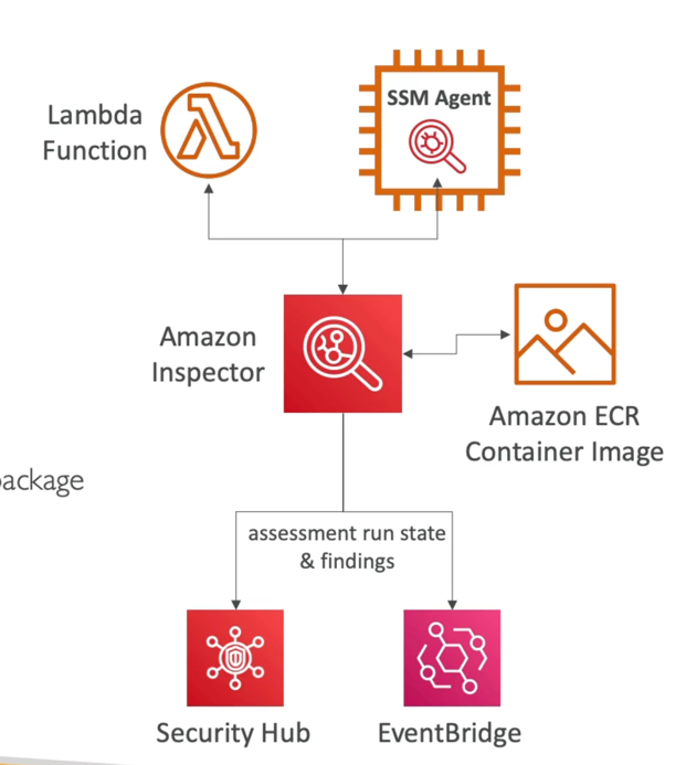 Inspector